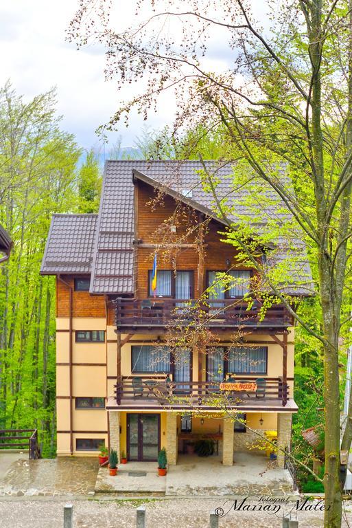 Pension Master Sinaia Exterior photo